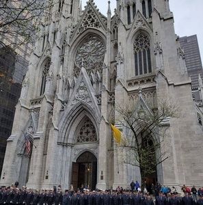 Meet your Posher, Lynnette